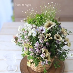 ペチュニアと初夏のお花のギャザリング寄せ植え