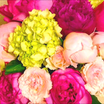 ♡なぁたろ様専用ページ 芳名帳♡