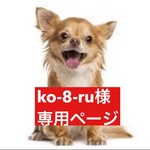 専用ページ
