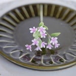 可愛い小花に魅せられて✿クレイフラワーNO.H5−4