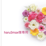 haru3max様専用