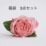 期間限定　リバティ　がま口ポーチ　3点セット