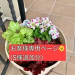 お客様専用ページ🌼(S様追加分)