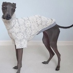 オーダー ドイリーレースの半袖カットソー 犬服