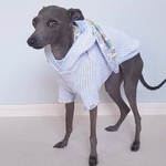 オーダー うさ耳フーディー  トップス 犬服