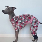 オーダー リバティ ミニミニ裏毛 半袖ロンパース 犬服