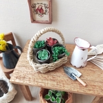 ミニチュア　多肉植物🌵とアンティークピッチャーとスコップ