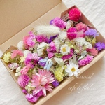 ドライフラワー花材