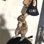 デグー♡