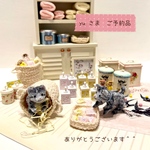 ドールハウス　雑貨店　「Promenade🍃」