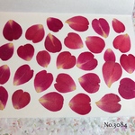 ♡new♡作家様必見♡ 小さめな花びらがいっぱい♡ 押し花セット