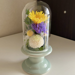 御供・ぽんぽんマームのお悔やみの花　カーネーション　ことね菊　送料無料（離島等別途料金かかります）