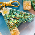 Dolphinさま専用:プルメリア♡イニシャルキーホルダー