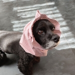 中型犬用スヌード　赤ストライプ