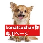 専用ページ