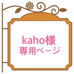 きらきらフクロウのピアス／イヤリング