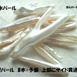 ♪送料無料♪淡水パール　大きな枝型　穴貫通7個+予備