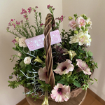 【母の日ギフト】❤︎ プランツ ギャザリング ♡可愛いバスケット入り 寄せ植え