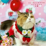🍓苺のスタイ🍓　レッド