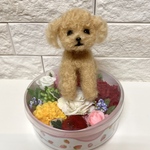 プードルちゃんとお花セット