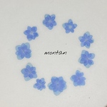 No.6 押し花 〜 紫陽花　テマリテマリ
