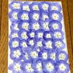 100円お値引き‼️17「macoron春のドライフラワー祭り」始まりました‼️