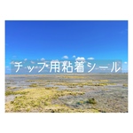 粘着シール（5回分）