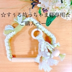 ☆すぅる坊っちゃま様専用☆ご購入ページ