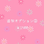 オプション②