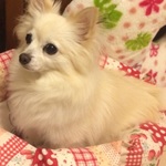 ☆ル…様専用ページ☆