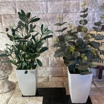 光触媒　人工観葉植物　ウォールグリーン　フェイク　フラワー　オリーブとポポラス