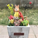 ★送料無料★速達付き★♡そのまま飾れる♡うさぎちゃんの多肉植物寄せ植え╰(*´︶`*)╯♡