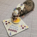 フェレット用　バースデーパーティー　3点セット【カップケーキ】