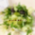 ＊ppt265s様　専用ページ＊