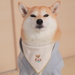 🐶柴ちゃんダナ🐶手刺繍/赤柴/黒柴/選べる裏地/ペット用バンダナ
