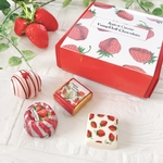 フルーツチョコレートマグネット（トリュフ箱入り）イチゴ🍓