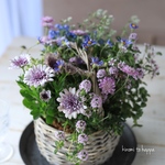 ブルーとラベンダー色のギャザリング寄せ植え