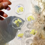 送料無料🆓スターチス(イエロー)のシーリングスタンプ