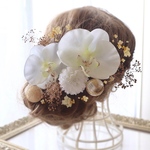 成人式　髪飾り金箔付き◆卒業式髪飾り 胡蝶蘭髪飾り　結婚式