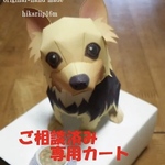 ひなたぼっこ さま＊ご相談済み専用カート