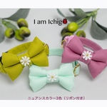 お花付き💐ニュアンスカラーの首輪(3色)