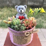 ★送料無料★速達付き★♡そのまま飾れる♡リメ缶♬くまちゃんの多肉植物寄せ植え╰(*´︶`*)╯♡