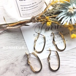 A1252【送料無料】import フープピアス チタン製 パーツ シンプル  ピアス  2pcs