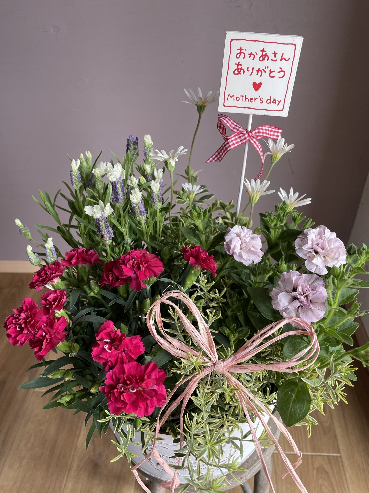 母の日ギフト】 ❤︎ 寄せ植え カーネーション♡ホワイトラベンダー