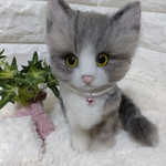 （mokko-moko様専用ページ）最愛のネコちゃん