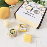 フルーツチョコレートマグネット（トリュフ箱入り）レモン🍋