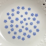 ワスレナグサ(押し花)