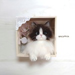 【新作】 羊毛フェルト 猫 ラグドールの立体フレームボックス