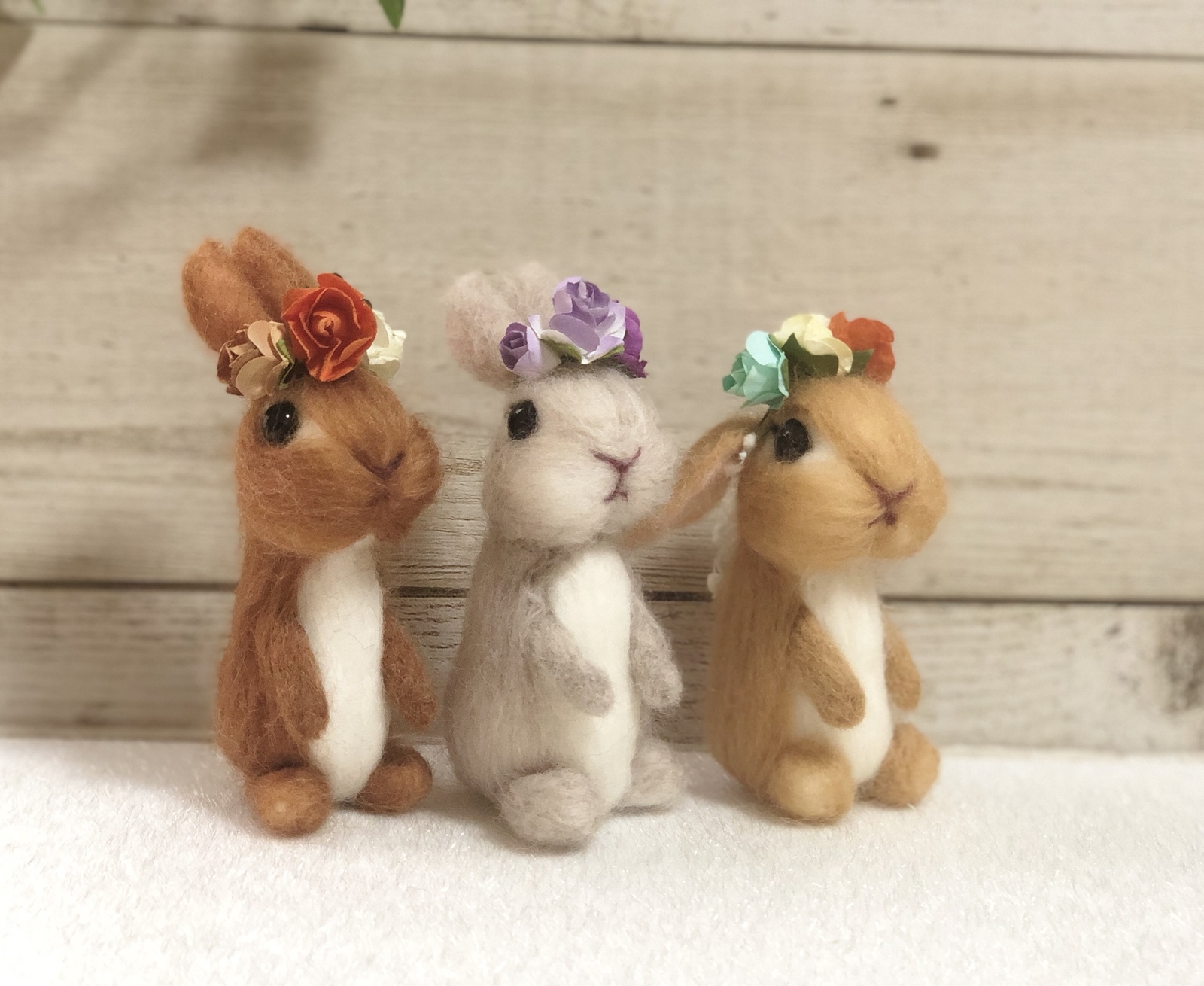 ホーランドロップ - ぬいぐるみ・人形の人気通販 | minne byGMO