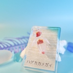 <オブジェ>〜ウミウシ標本〜ハダカカメガイ